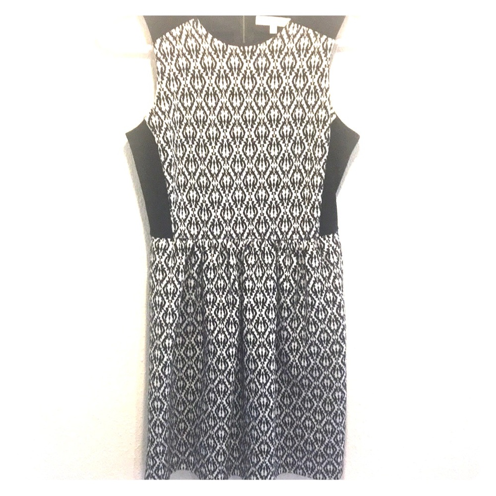 Madewell Winter Dress